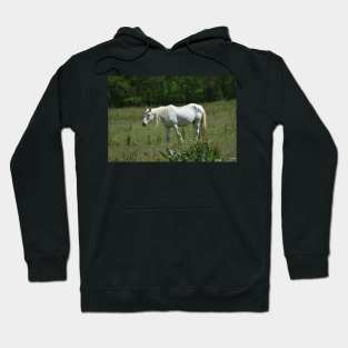 Wild Horse Hoodie